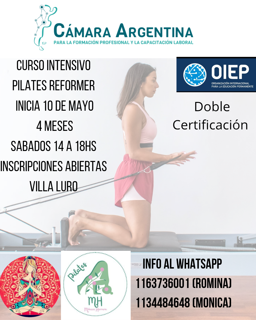 INFO AL WHAST APP 1163736001